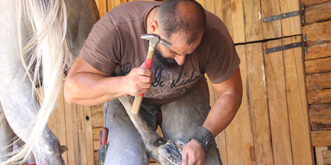Karabük Üniversitesi Eflani Meslek Yüksekokulu Atçılık ve At Antrenörlüğü Bölümü Öğretim Görevlisi Özkan Yeşilçay (38), boş zamanlarında nalbantlık yapıyor.