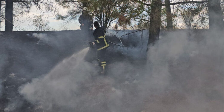 Edirne'de ot yangını çıktı