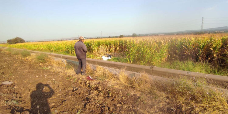 Tarlaya devrilen otomobildeki anne ve kızı öldü