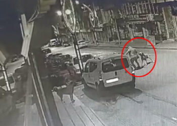 Ordu'da başıboş köpek saldırısı kamerada