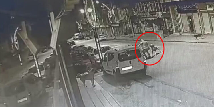 Ordu'da başıboş köpek saldırısı kamerada 