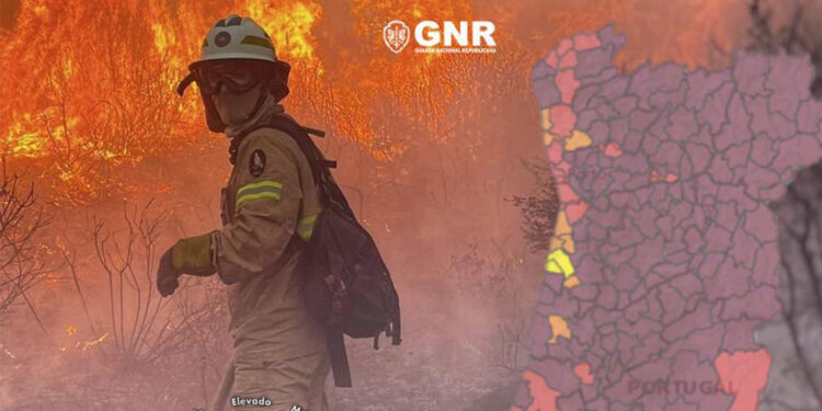 Portekiz'deki orman yangınlarında ölü sayısı 7'ye yükseldi