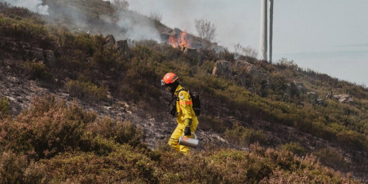 Portekiz'de 7 kişinin öldüğü orman yangınları sebebiyle ulusal yas ilan edildi