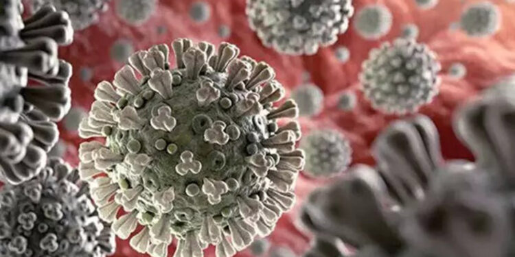 Prof. Dr. Özlü'den ‘XEC’ açıklaması: Endişe edecek durum yok