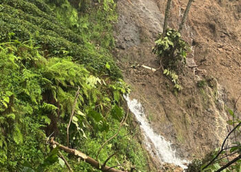 Rize'de sağanak heyelanlara neden oldu