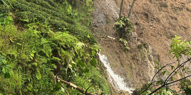 Rize'de sağanak heyelanlara neden oldu