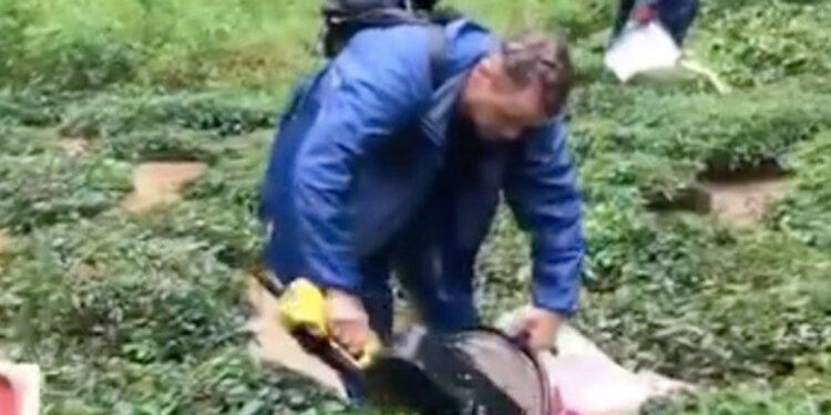 Rize'de selde bahçedeki çayları kurtarma çabası kamerada