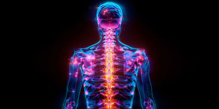 Polinöropati nedir? Belirtileri nelerdir?