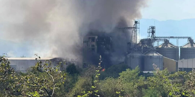 Sakarya'da makarna fabrikasında patlama: 20 yaralı
