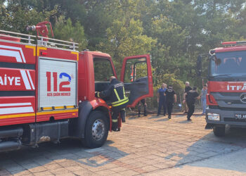 Samsun'da orman yangını