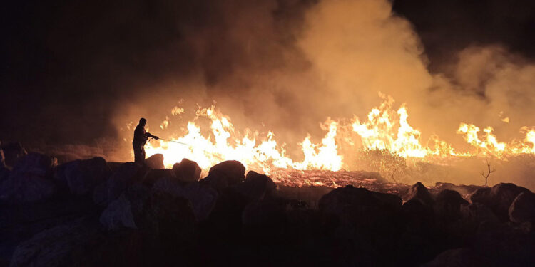 Seferihisar'da 3 ayrı noktada çıkan orman yangını söndürüldü