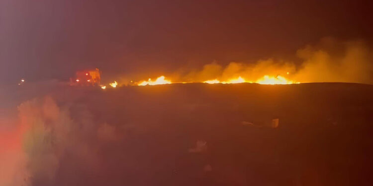 Seferihisar'da otluk alanda çıkan yangın 1 saatte söndürüldü