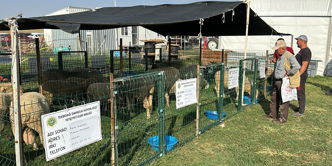 Tekirdağ'da Almanya Tarım Birliği (DLG) tarafından düzenlenen Karaevli Tarım ve Teknoloji Günleri Fuarı, kapılarını açtı.