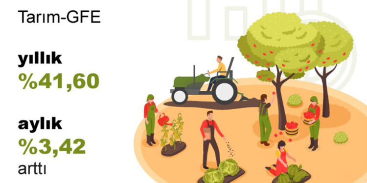 Temmuzda tarımsal girdi fiyatları yüzde 41,60 arttı