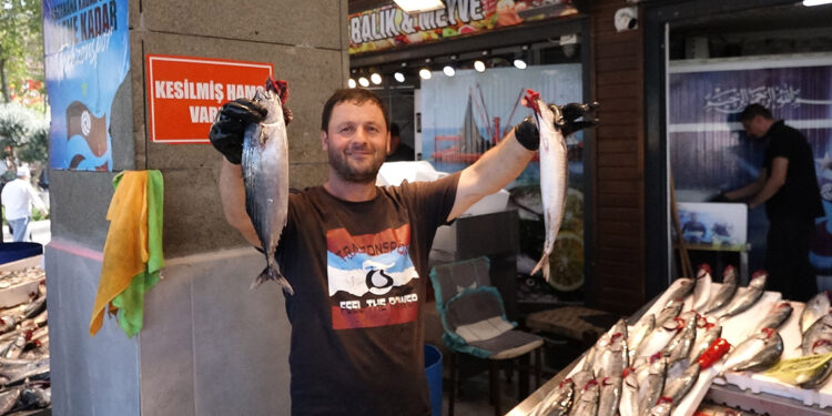 Trabzon'da balıkçıların ağları palamutla doluyor