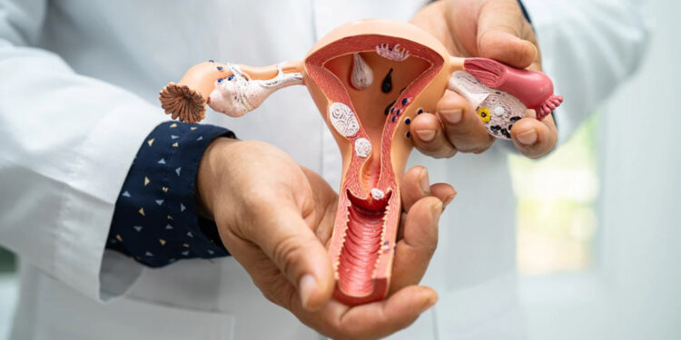 Türkiye'de her 7 kadından birinde polikistik over sendromu görülüyor