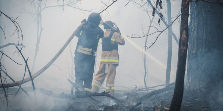 Ukrayna'nın 3 bölgesinde orman yangını
