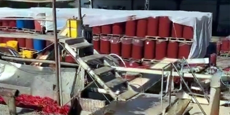 Uygunsuz koşullarda salça üreten işletmenin faaliyeti askıya alındı