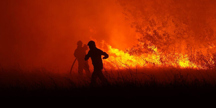 Ukrayna'da orman yangını
