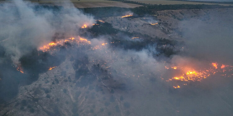 Ukrayna'nın Kramatorsk bölgesinde orman yangını