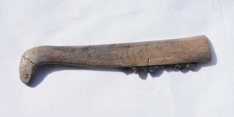 Ulucak Höyüğü'nde 7 bin 800 yıllık orak bulundu