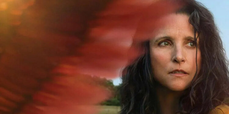 Vizyondaki filmler 13-20 Eylül 2024