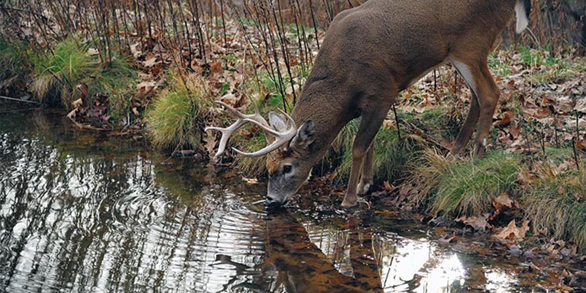 Tarım ve Orman Bakanlığı tarafından yapılan çalışma ile 12 ilde 14 sondaj kuyusu açılarak, yaban hayvanları için küçük göletler oluşturuldu. Yaban hayata can suyu projesi ile hayvanların yaşam alanlarına olan bağlılıklarının artması ve bu alanlarda kalmalarının teşvik edilmesi hedefleniyor.