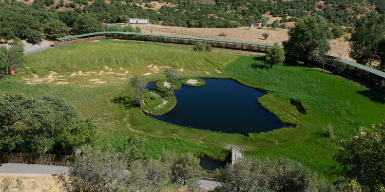 Turnalar Gölü'ndeki yüzen adalara 17 bin ziyaretçi