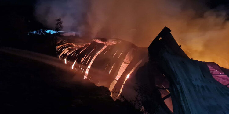 Yat mobilyası atölyesinde çıkıp ormana da sıçrayan yangın söndürüldü