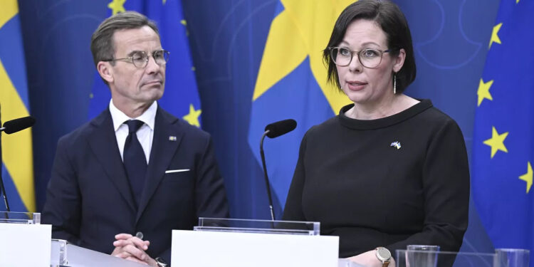 İsveç heyetini taşıyan uçakta arıza