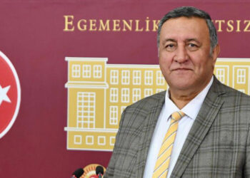 Orman yangınları ile binlerce ağaç yok oldu
