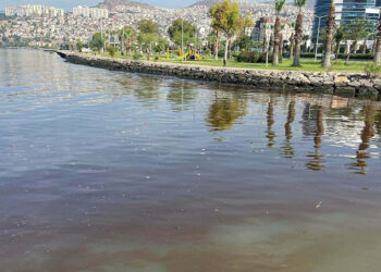 İzmir Körfezi'ndeki kırmızılık havalar soğuyunca kaybolacak