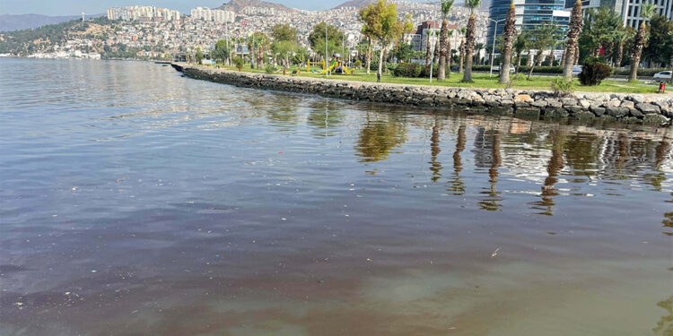 İzmir Körfezi'ndeki kırmızılık havalar soğuyunca kaybolacak