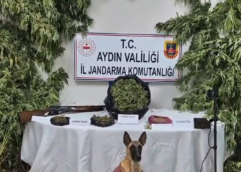 19 ilde 'Narkoçelik-42' operasyonlarında 49 şüpheli yakalandı19 ilde 'Narkoçelik-42' operasyonlarında 49 şüpheli yakalandı