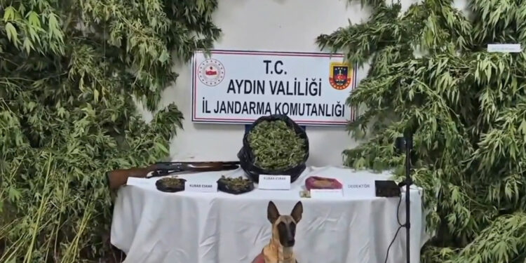 19 ilde 'Narkoçelik-42' operasyonlarında 49 şüpheli yakalandı19 ilde 'Narkoçelik-42' operasyonlarında 49 şüpheli yakalandı