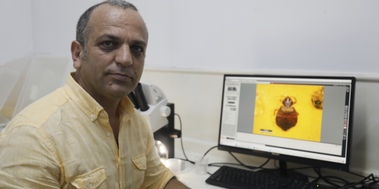 5 yıldızlı otellerde tahtakurusu alarmı; yumurtaları valizle taşınıyor