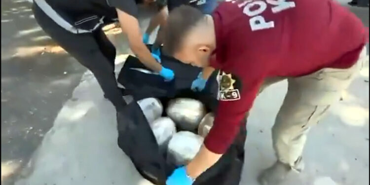 Narkoçelik-43 operasyonlarında 335 şüpheli yakalandı