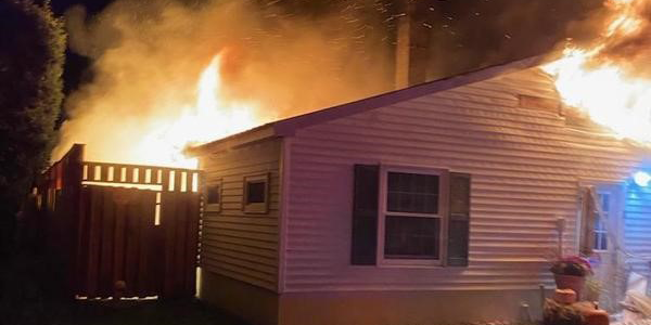 ABD'de barınakta çıkan yangında 44 köpek öldü