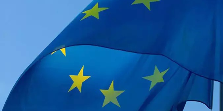 AB'den Gürcistan'a soruşturma çağrısı