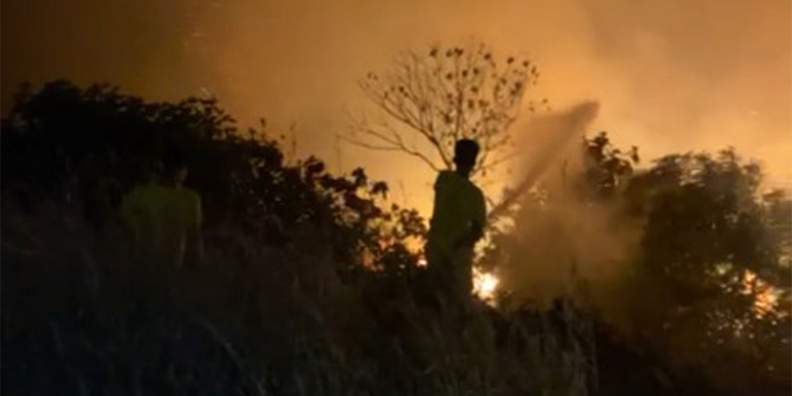 Seyhan Baraj Gölü kıyısındaki ağaçlıkta yangın