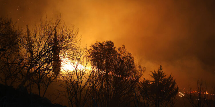 Seyhan Baraj Gölü kıyısındaki ağaçlıkta yangın