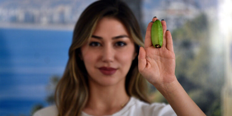 Alanya muzuna 2 yeni tür eklendi