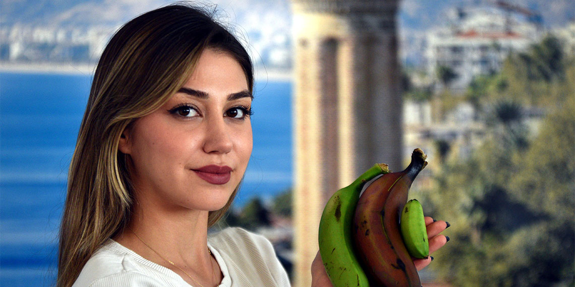 Alanya'da, lezzeti coğrafi işaretle tescillenen Alanya muzuna 2 yeni tür eklendi 'kırmızı' ve 'parmak' adlı yeni türlerin üretimine başlandı.