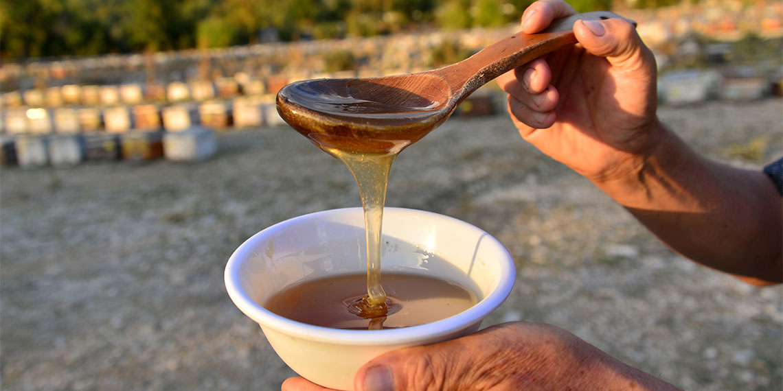Muğla Sıtkı Koçman Üniversitesi'nin 2016 yılındaki bir organizasyonunda Türkiye'deki 134 çeşit arasında şeker oranı en düşük balın üretildiği Antalya'nın Finike ilçesine bağlı Ernez Mahallesi, mermer ocağı tehdidiyle karşı karşıya.