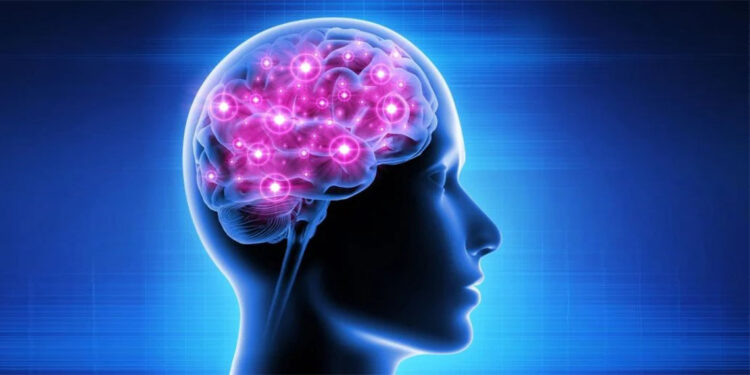 İki dil konuşmak beyni güçlendiriyor