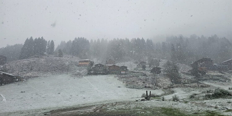 Ayder Yaylası beyaza büründü