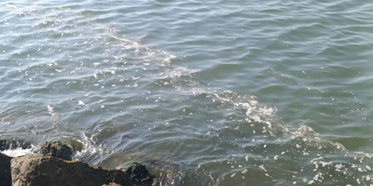 Akdeniz'de köpüklenme uyarısı