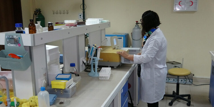 Alzheimer tedavisinde yeni etken madde keşfi 