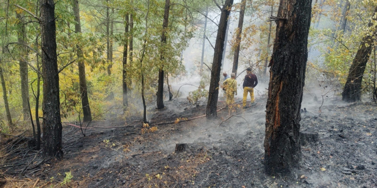 Amanos Dağları eteklerinde orman yangını