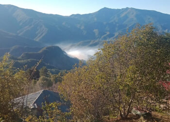 Amanos Dağları'nda orman yangını